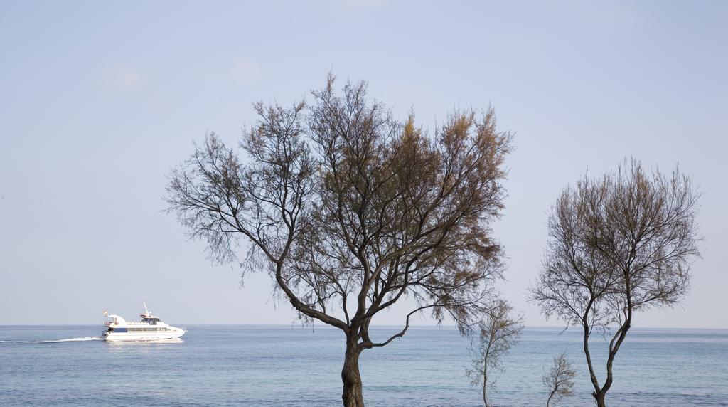Hotel Mariant S'Illot (Mallorca) Exterior foto